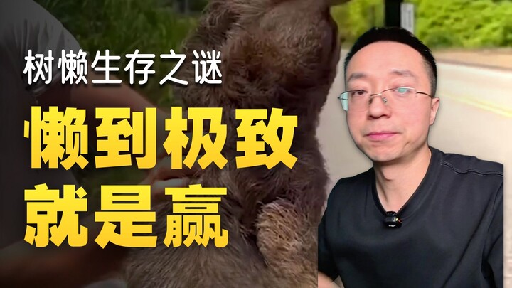 Mengapa sloth tidak punah?