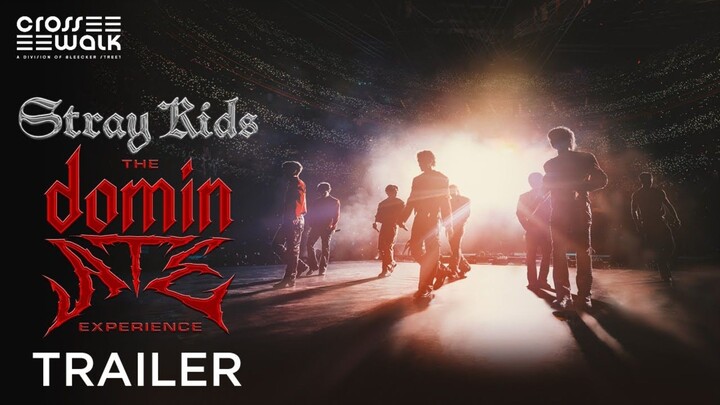 Stray Kids: The dominATE Experience (2026)