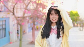 Thông báo về 【Xiao Homura】 Love Sora❀Kapok of Teach Four đã mở