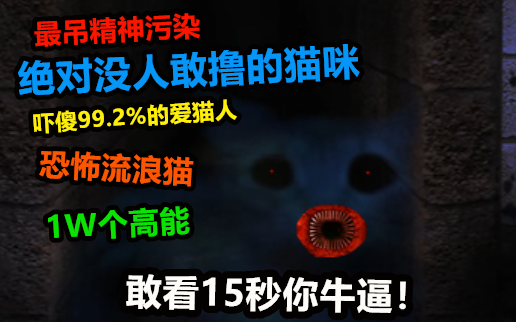 Kucing jalanan paling toxic dengan 10 ribu energi tinggi yang bisa merusak mental—hanya 0,8% pencint