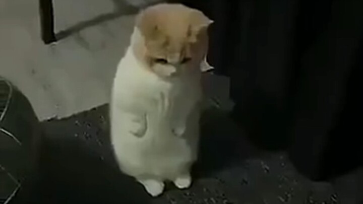 “ถังแก๊ส.jpg”