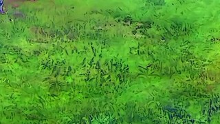 mepel emang beda😂😂