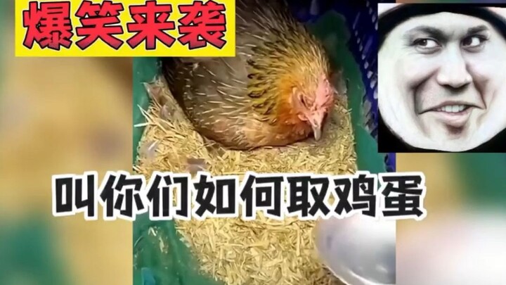 สอนวิธีตักไข่ไก่