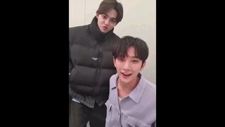 CheolSoo on Weverse live 🍒🦌 #seventeen #scoups #joshua