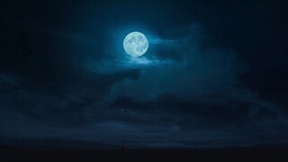 மலைக்கோட்டை வாலிபன் 2024