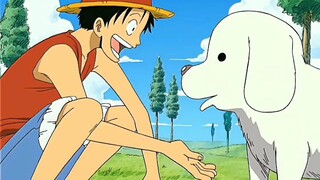 LUFFY WITH ANIMALS | ONE PIECE