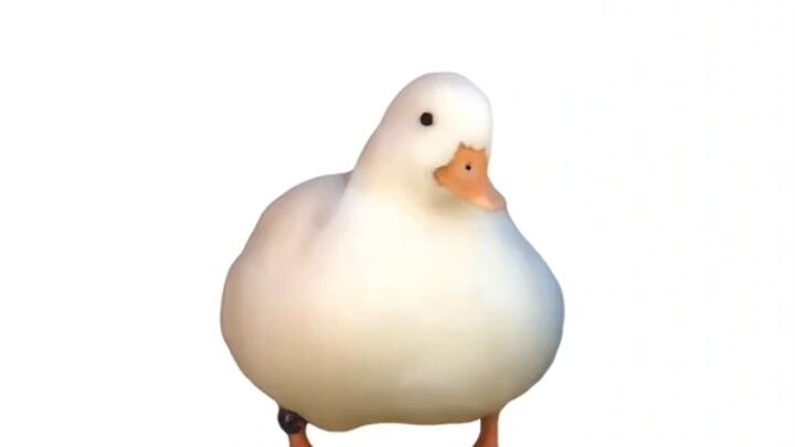 Duck Explains What Burnout Is