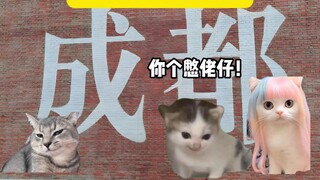 Ketika saya bepergian ke Chengdu, saya tampaknya sangat populer