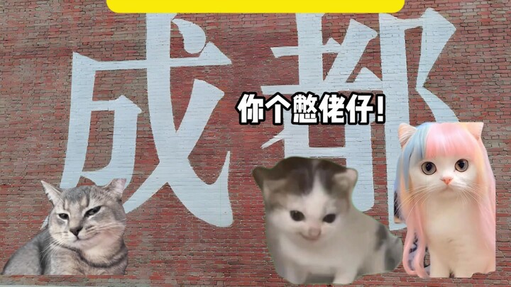 去成都旅游时，我好像很受欢迎