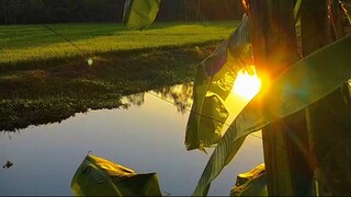 Awesome Village Area in Bangladesh