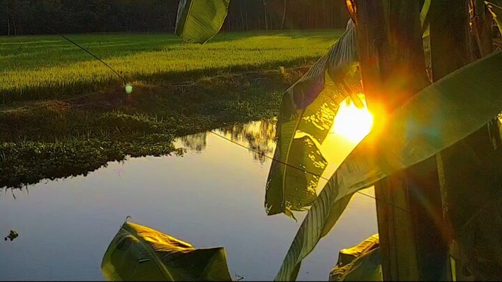 Awesome Village Area in Bangladesh