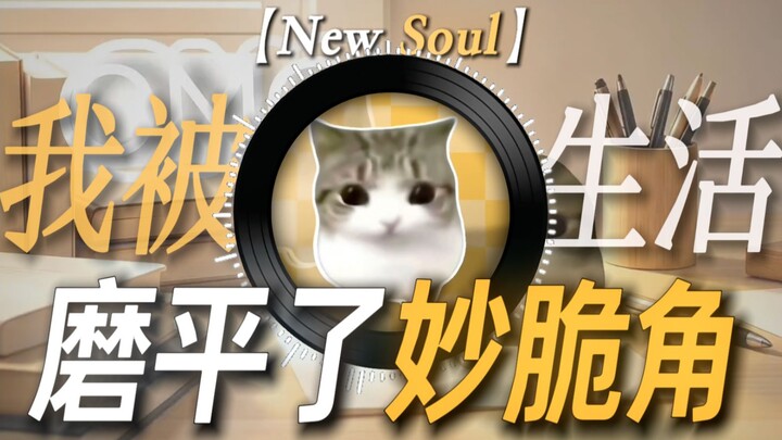 “Cuộc sống đã làm phẳng miếng bánh snack giòn của tôi” | 【New Soul】 Khúc nhạc ngắn về snack giòn, kh