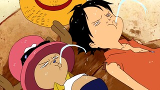 路飞跟乔巴可真是一对活宝啊！
