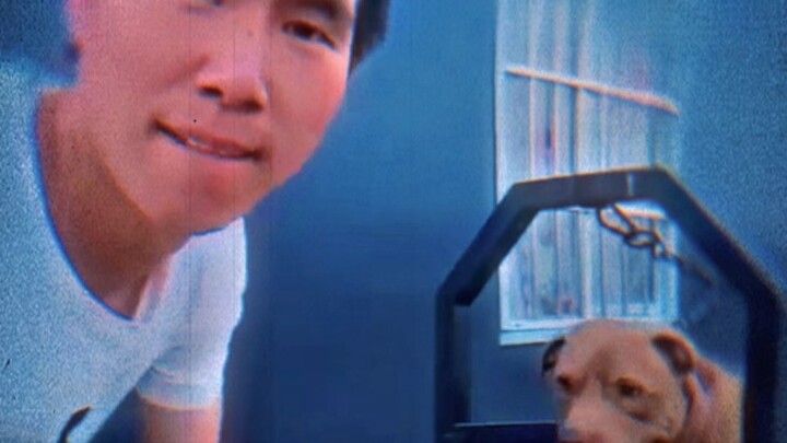 "Is this what you call a reaction?"