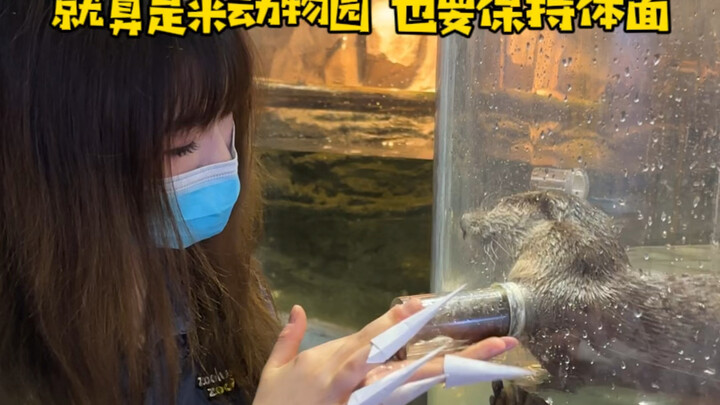 Mặc bộ giáp này và trông thật đáng kính~