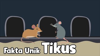 Mengenal Tikus – Mengenal Hewan bersama Mombi - Fakta Menarik