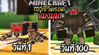 ผมทำได้?! เอาชีวิตรอด 100 วันโดยกลายร่างเป็นแมงมุม โคตรเจ๋ง!【Minecraft】