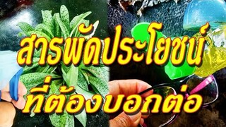 สารพัดประโยชน์จริงๆ 6 ประโยชน์จากน้ำยาล้างจาน ที่ไม่ได้มีดีแค่ใช้ล้างจาน