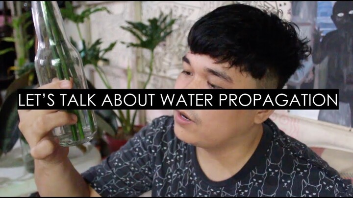 Let's Talk About Water Propagation