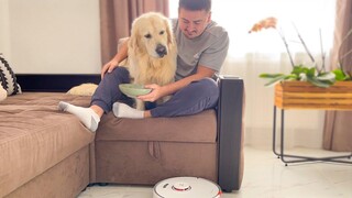 Roborock ช่วย Golden Retriever และ Me จากการทำความสะอาดหลังรับประทานอาหาร