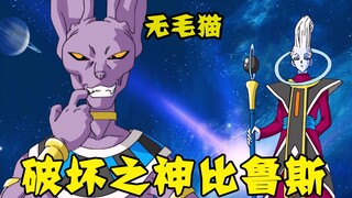 无毛猫只是吃个饭，在场的厨师就瑟瑟发抖