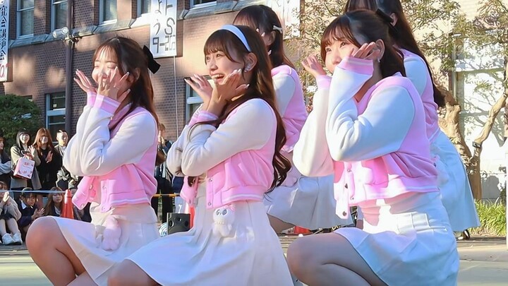 成蹊大学Kpop表演