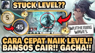 CARA CEPAT MENAIKKAN LEVEL UNION!! Bansos Cair GACHA JIYAN!! 🤔 | Wuthering Waves