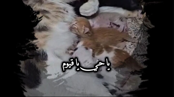 دعاء الرحمة
