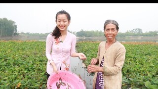 Giăng Lưới Bắt Cá Làm Món Cá Rô Kho Bầu + Cá Sặc Chiên Muối Ớt ● Nắng Đẹp Miền Tây | NĐMT #26