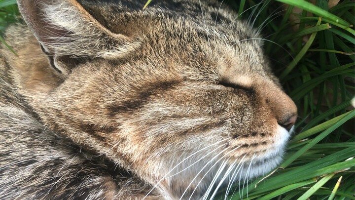 Who could resist clicking on this?