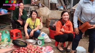 THỬ MANG SÂU RỪNG LÊN CHỢ HUYỆN BÁN BẤT NGỜ NHỮNG PHA PHẢN ỨNG SỢ SÂU