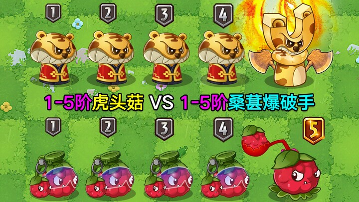 Jamur Kepala Harimau Level 1–5 vs Penembak Blackberry Level 1–5! Perebutan Raja Racun, Apakah Blackb