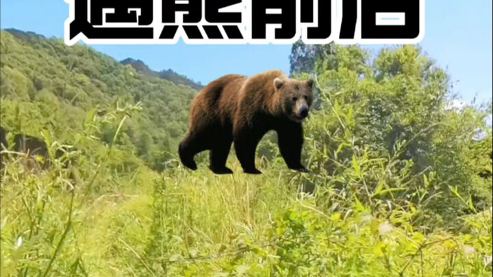 ปั่นจักรยานเส้นทางฉินหลิงเอาไถ เจอหมีทั้งก่อนและหลัง