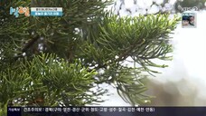 Han Ga In - 2 Days & 1 Night Ep 120