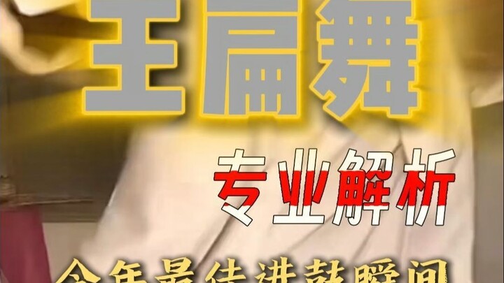 Professional Analysis of Wang Bianwu