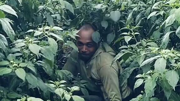 aku yang minta uang buat beli skin legend bapak auto gini