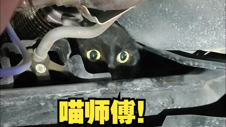 汽修工遇到的离谱故障,客户说有喵喵叫的声音