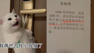 公猫找邻居家母猫过七夕，结果被拎出来挂门上了，还贴上了告示条