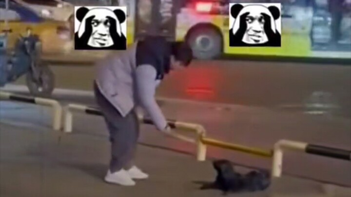 Cái túi nilon này vừa đựng chó lại còn cắn người nữa.
