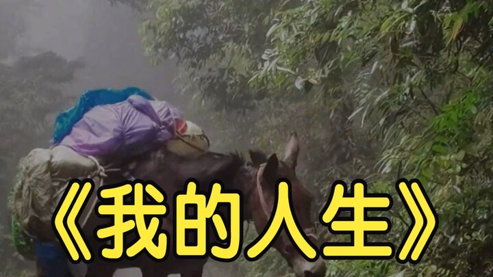 Aku melihat bayangan diriku sendiri dalam diri sang keledai.