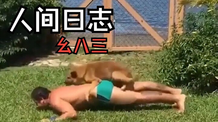 [Human Observation Log] 183: Animals Are Humanity’s Best Friends