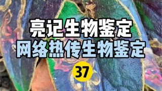 【Liangji Bioassay】Internet Hot Biological Identification 37