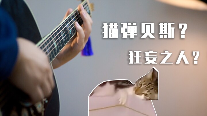 这只猫要给我弹贝斯，上来就是一曲《狂妄之人》？