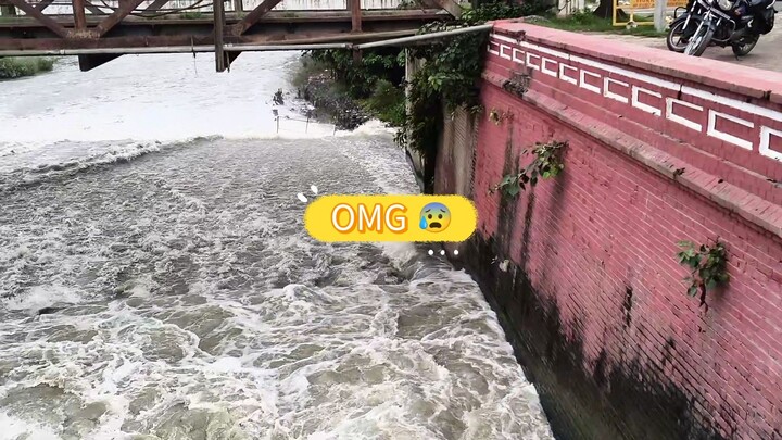 There is a lot of water in the Bilaspur Dam (Uttar Pradesh, India).