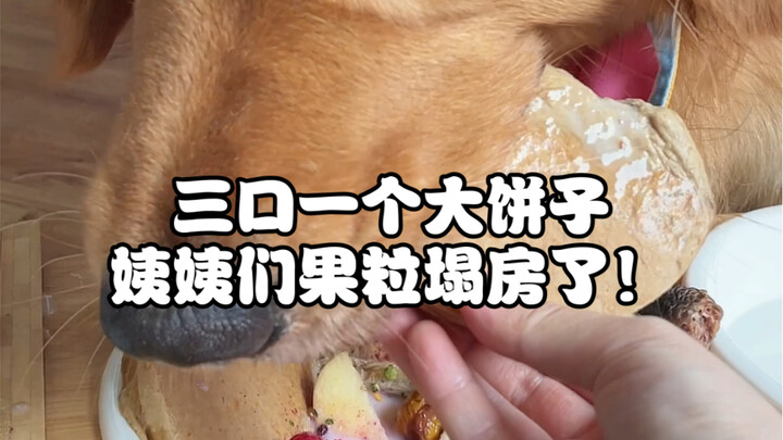 Aunties are done pretending! Today, one big pancake dog and one couple—just like that!