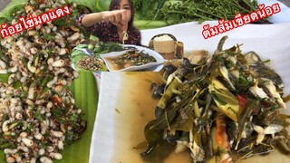 ก้อยไข่มดแดงปะทะต้มส้มเขียดน้อยใส่ใบบักขาม เมนูหากินยาก แซ่บคักเด้อ 17/1/2020