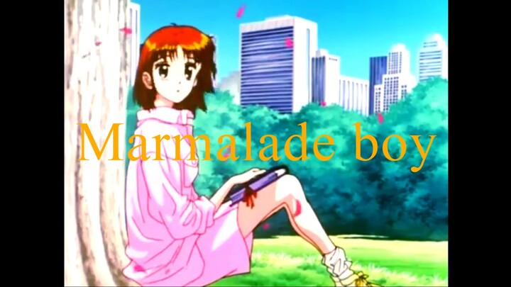 Marmalade boy trailer ( More views and comments and likes means I will upload the more episode!)