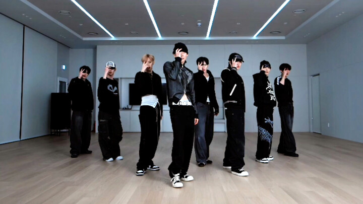 [ALD1] (Enhanced Color Version) Pre-release Track Formula Dance Rehearsal Studio