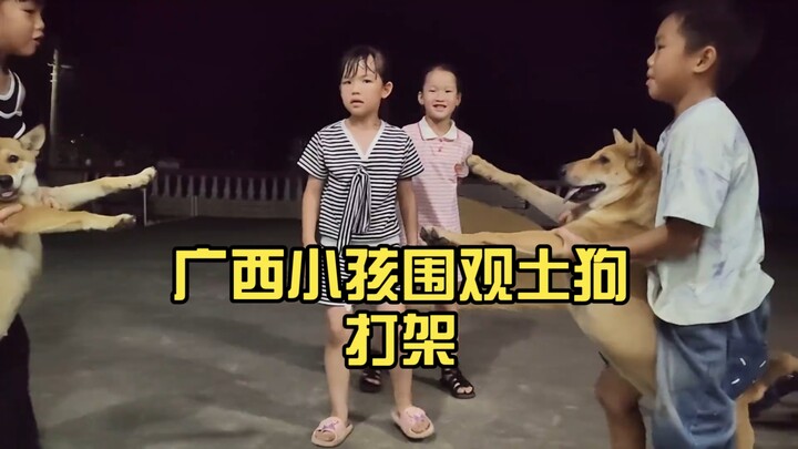 Kids in Guangxi watch stray dogs fighting; netizens say, “They deserve extra chicken legs—they’re ac
