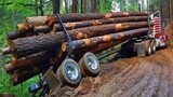 Extremely Dangerous Logging Idiots China Truck fails compilation 2021 ,TRUCKS VS TREE STUMPS